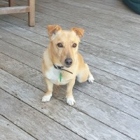 Hudson