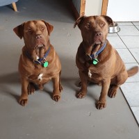 Thor & Loki