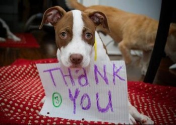 Thank_You.jpg