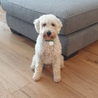 Benson