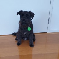 Lola