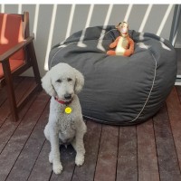 Milo