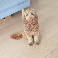Charlie