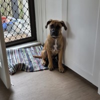 Max