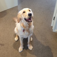 Abby