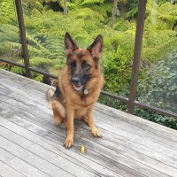 Shiloh