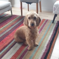 Monty