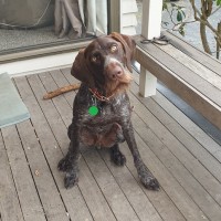 Gunner