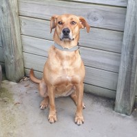Zoe