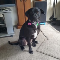 Lucy