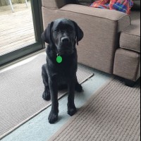 Zeke