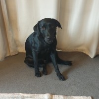 Wiley